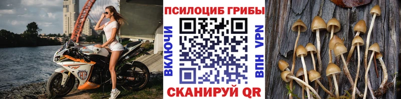 Псилоцибиновые грибы Magic Shrooms  мега ссылка  Новая Усмань 